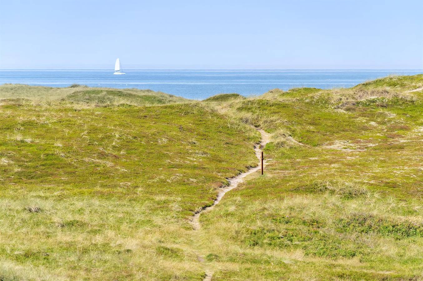 Pet friendly home in Thisted with sauna in Klitmøller, Thy Nationalpark