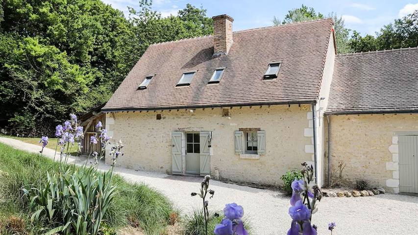 Location de vacances pour 12 personnes, avec piscine et jardin dans Château du Gué-Péan