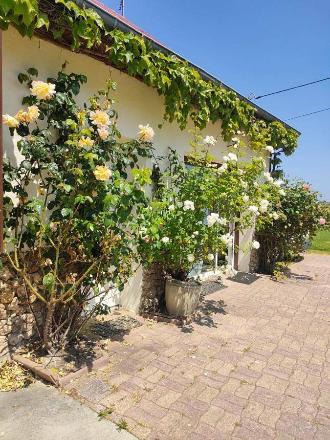 Appartement de vacances pour 17 personnes, avec piscine ainsi que vue et jardin, adapté aux familles dans Eure-et-Loir - 2