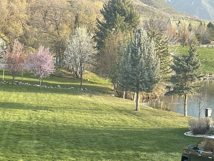 Vacation rental for 33 people, with hot tub and yard in Utah County