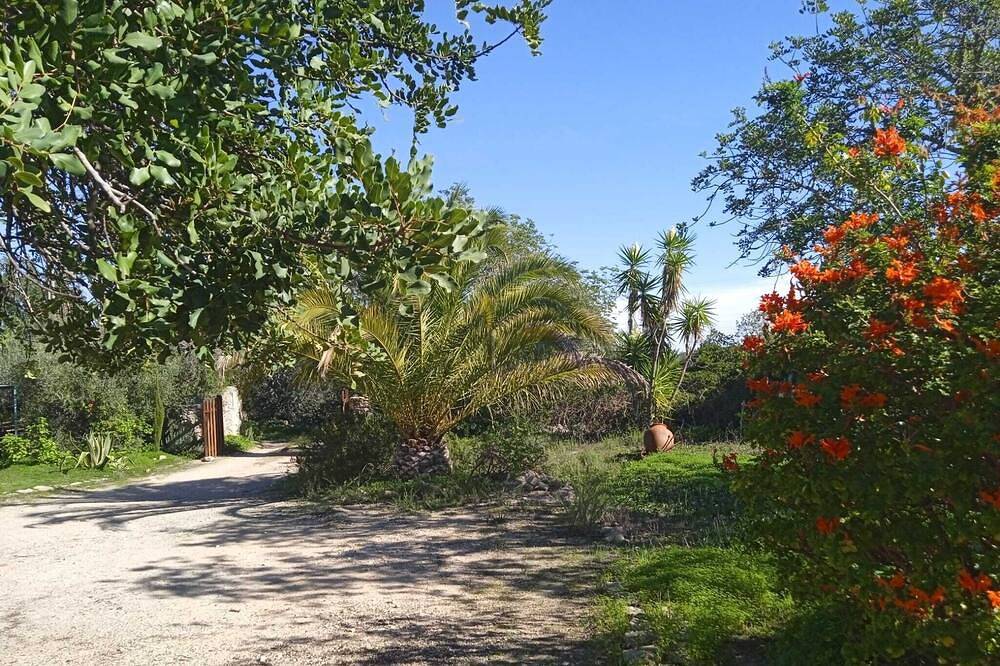 Romantisches modernisiertes Bauernhaus ,großer Garten,absolute Ruhe,klare Luft in São Brás de Alportel, Faro Distrikt