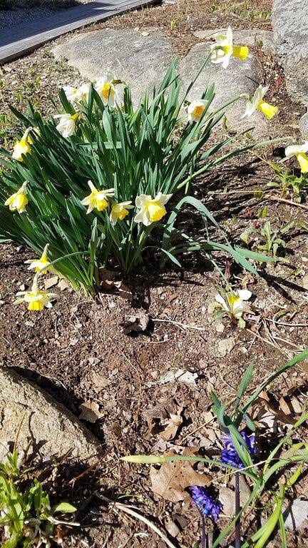 Get ready for Summer! Beach, fish, surf, Kennebunkport & Une, Portland in Biddeford, York County