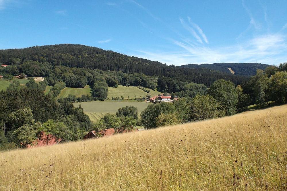Ganze Wohnung, Aktivcard-Fewo (85 qm) auf dem Lindenhof mit Sonnenterrasse/Schlittenhang in Sankt Englmar, Ostbayern