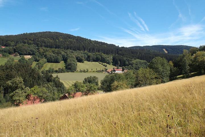 Bauernhof für 6 Personen, mit Terrasse und Garten in Sankt Englmar