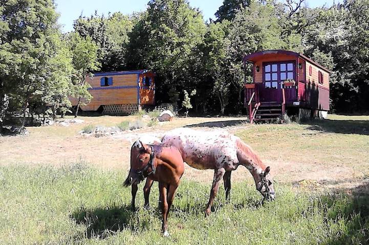 Camping pour 4 personnes, avec Terrasse