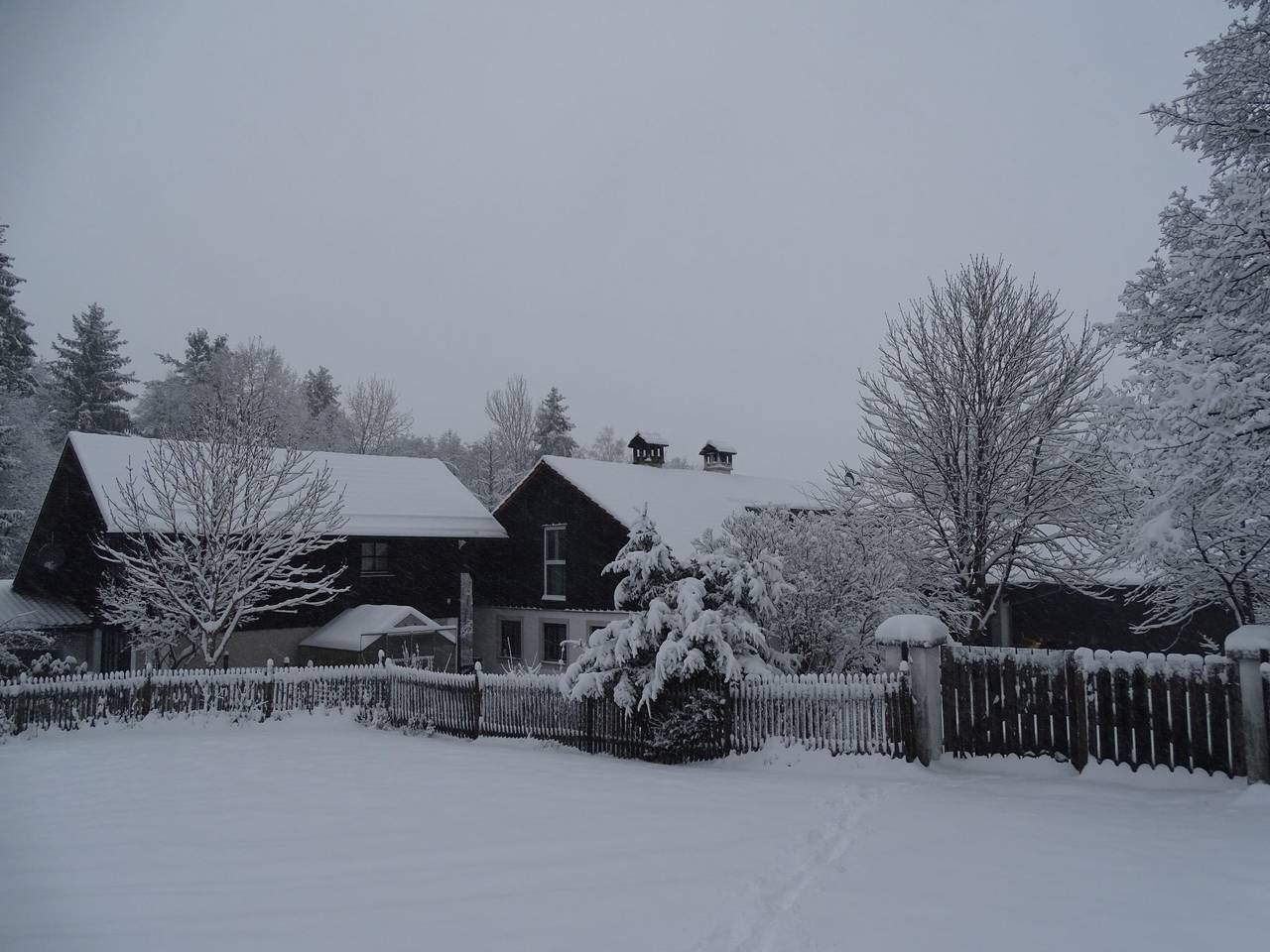 Vanessa in Schöllnach, Ostbayern