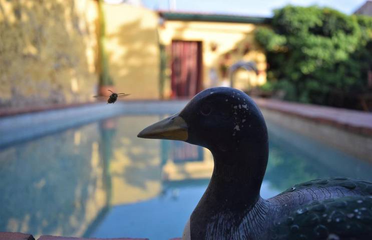 Casa rural para 2 personas, con Terraza y Jardín además de Piscina y Vistas en Tierra de Mérida - Vegas Bajas
