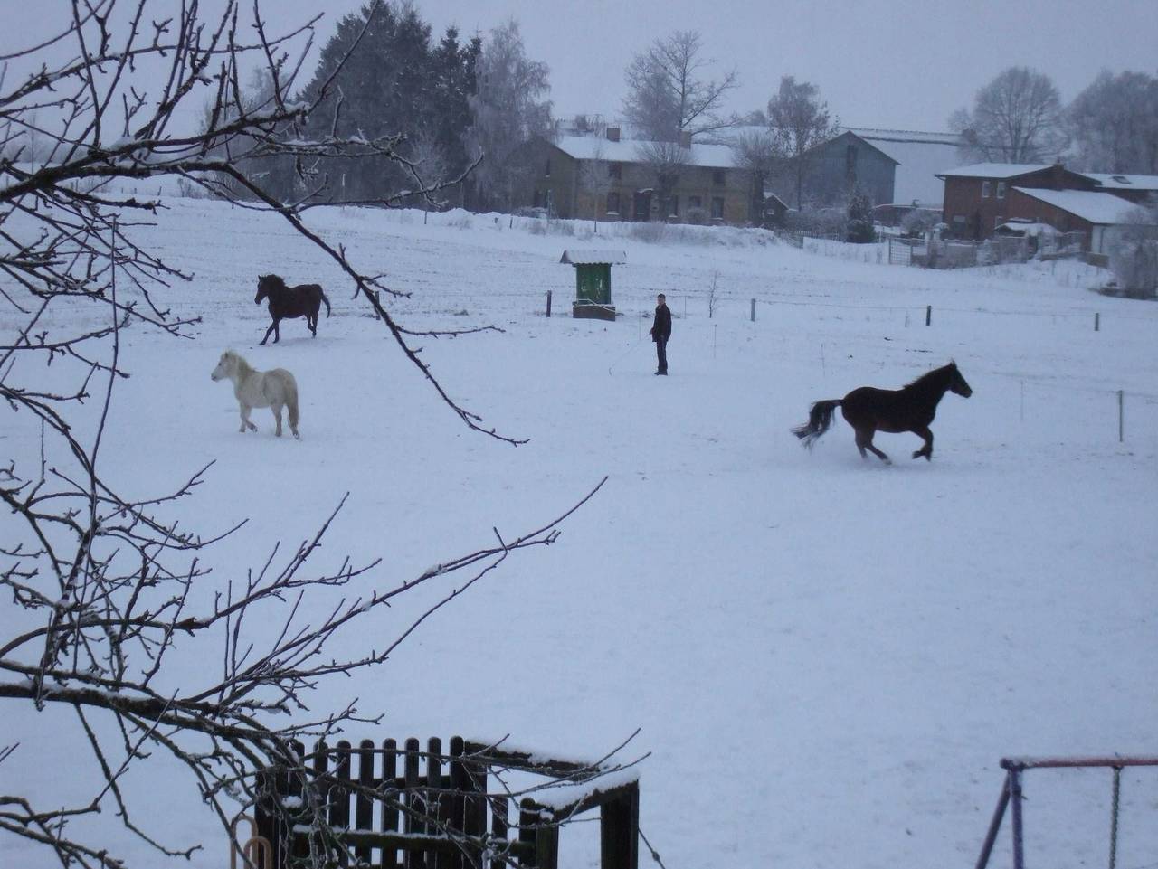 Ganze Ferienwohnung, Urlaub auf dem familienfreundlichen Bauernhof Truelsen - Ferienhof Truelsen - Fewo Gertrud in Wagersrott, Schleswig-Flensburg