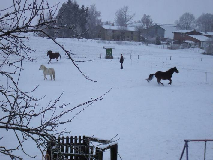 Bauernhof für 6 Personen, mit Garten und Terrasse, mit Haustier an der Ostsee - 3