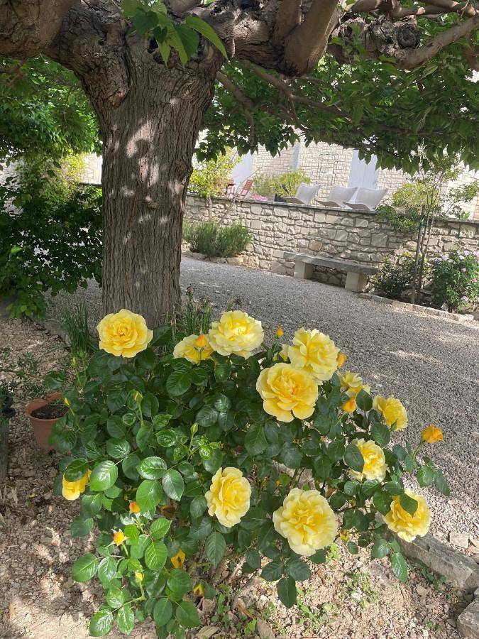 Chambre d’hôte pour 2 personnes, avec jardin et terrasse