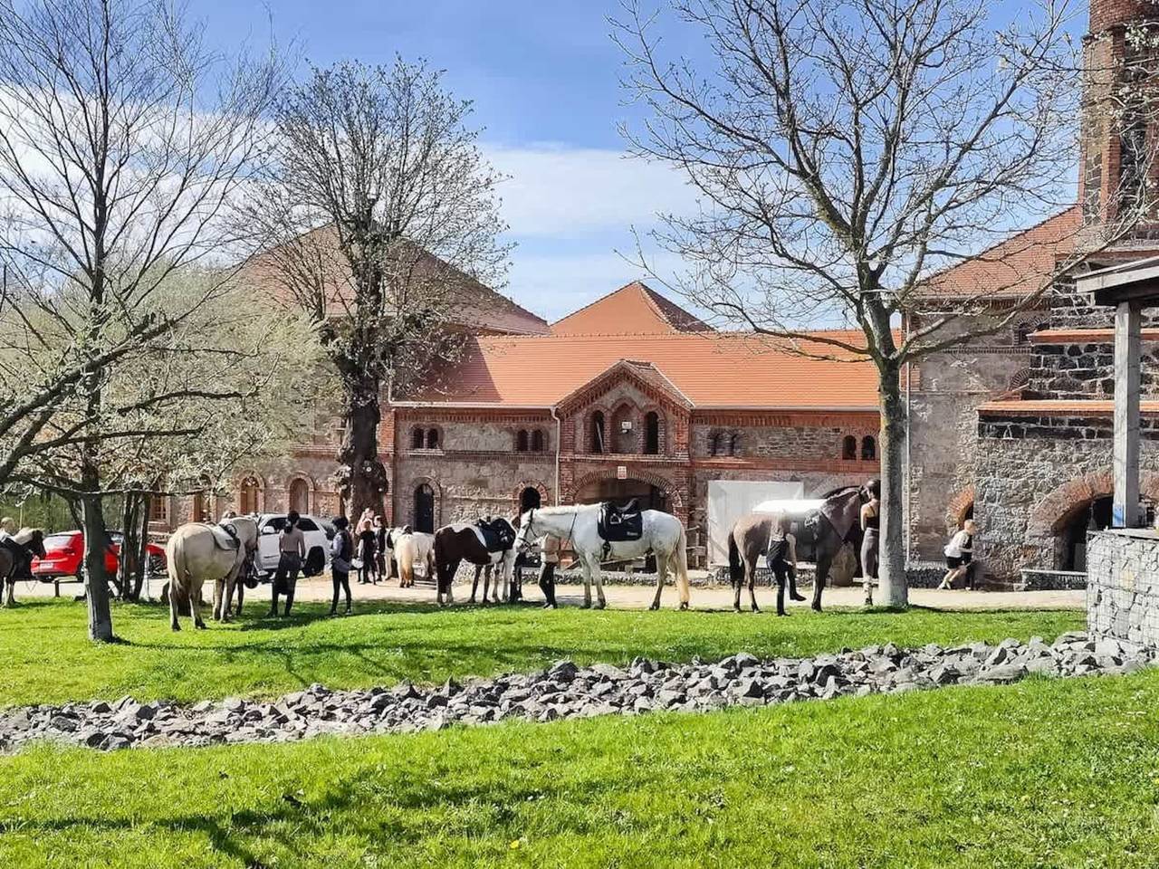 Ganzes Studio, Appartement mit Sonnenterrasse in Großharthau, Oberlausitz-Niederschlesien