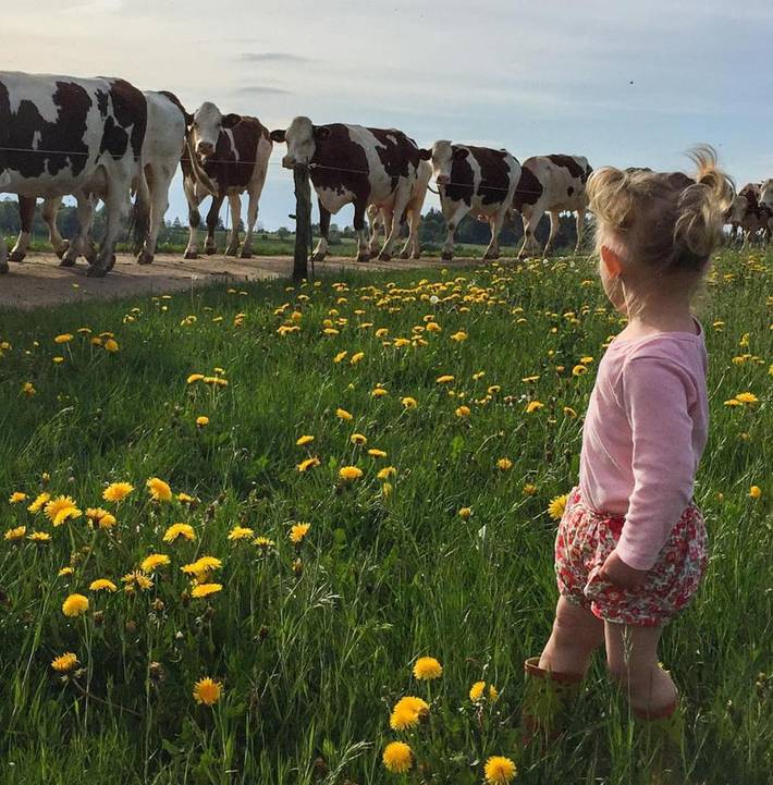 Gîte pour 4 personnes, avec vue et jardin dans Les Hôpitaux-Vieux - 4