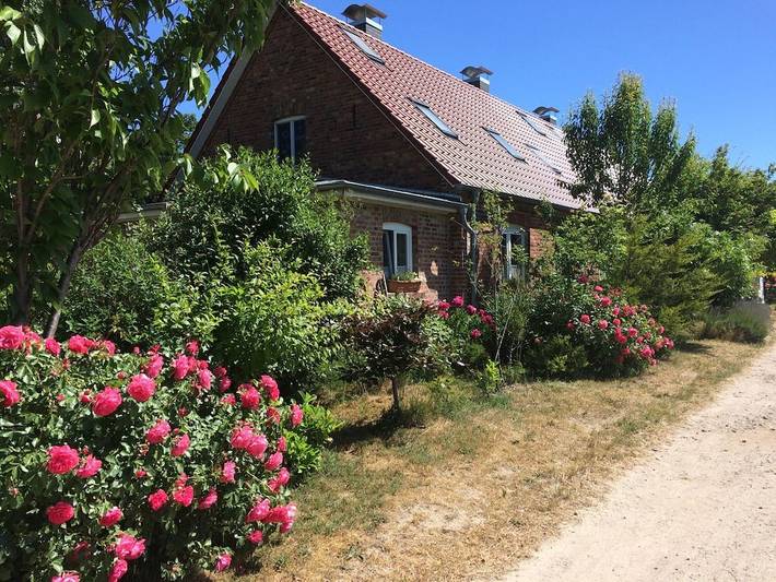 Filter.pet.vacation_home für 2 Personen, mit Terrasse in Trent