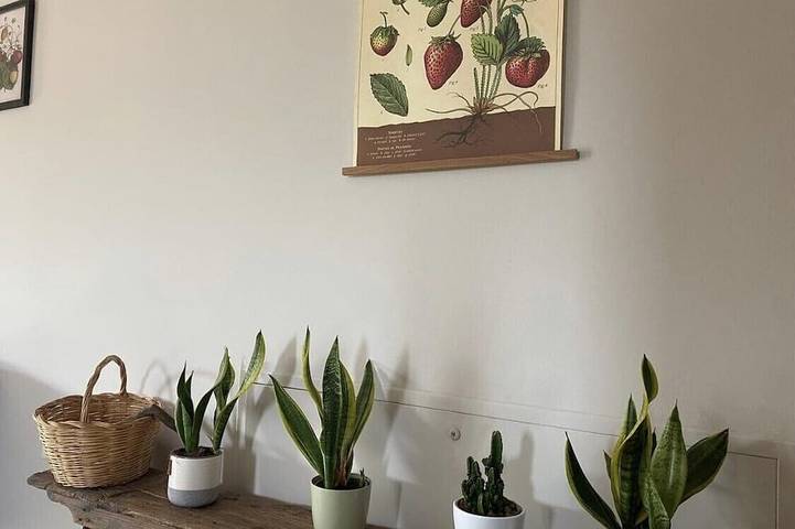 Appartement de vacances pour 11 personnes, avec piscine et jardin - 1