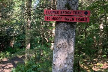 Vacation Home for 6 Guests in Burke, Vermont, Picture 2