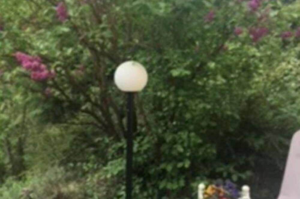 Ganze Wohnung, Le Petit Brit in Murtensee & Estavayer-le-Lac Region