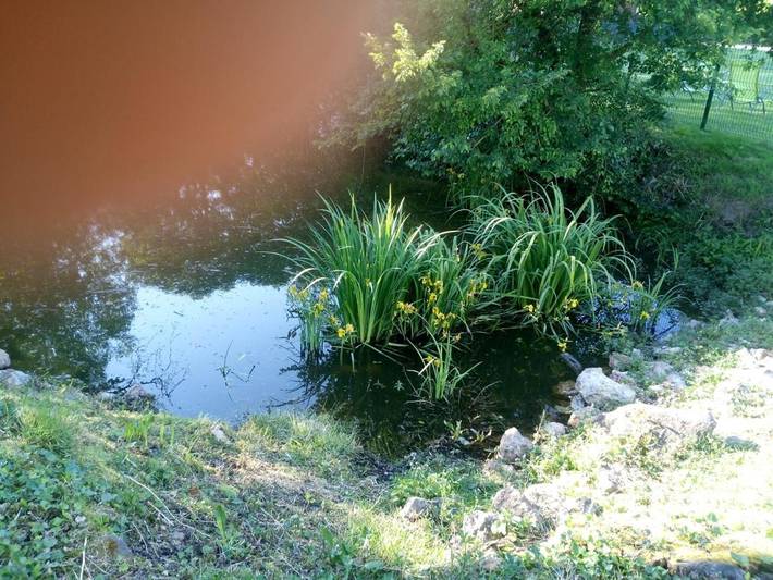 Location de vacances pour 15 personnes, avec jardin et terrasse, animaux acceptés à Luynes - 4