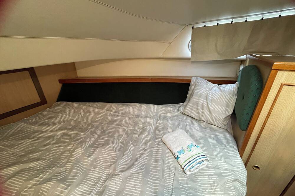 Iris Bateau Douillet in Nevers, Nièvre