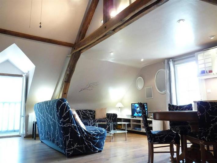 Gîte pour 5 personnes, avec jardin ainsi que piscine et terrasse à Neuillé-le-Lierre - 2