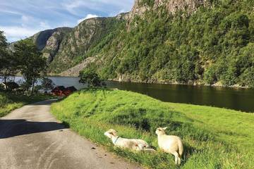 Feriehus til 9 Personer i Suldal , Rogaland, Bilde 2