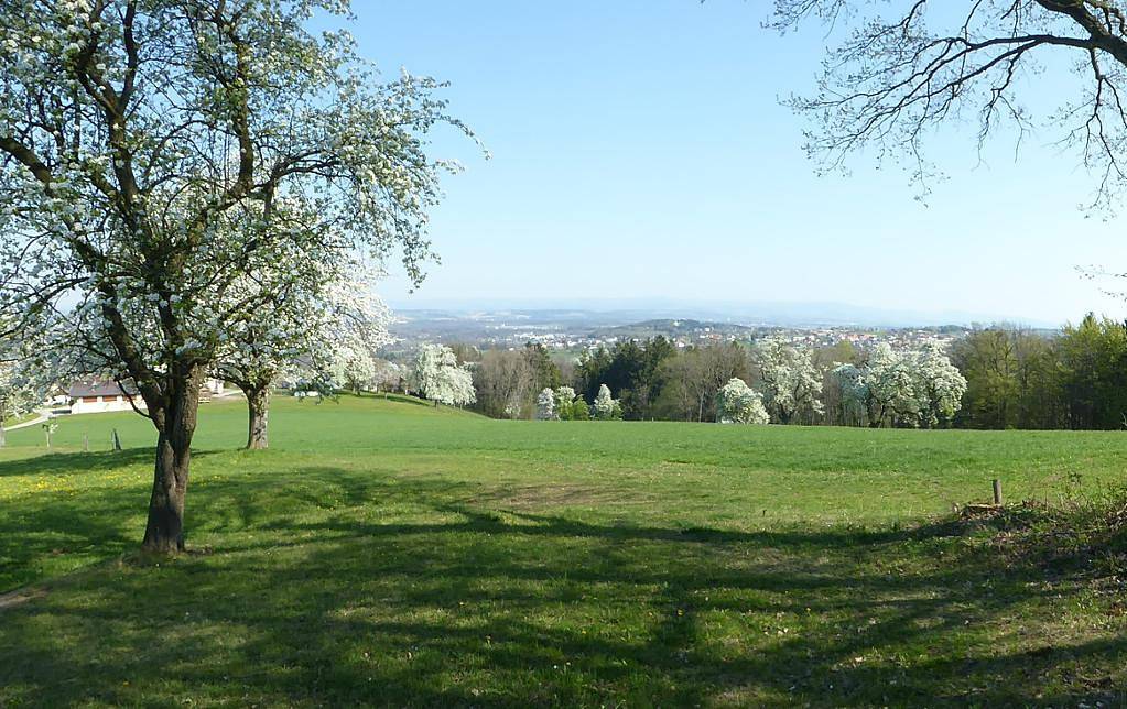 Zulehen - Ferienhaus Ferner Blick in Mostviertel-Eisenwurzen