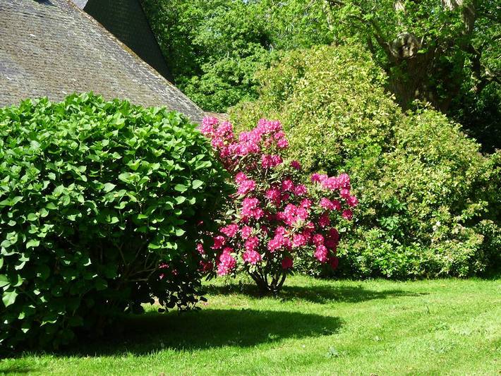 Chambre d’hôte pour 2 personnes, avec jardin en Bretagne - 3