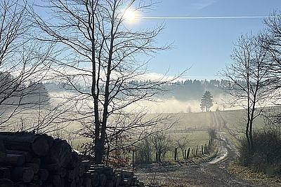 Ferienhaus für 5 Personen, mit Balkon/Terrasse und Terrasse, kinderfreundlich im Waldecker Land - 4