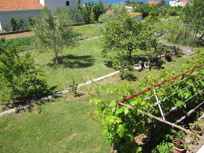 Ferienwohnung für 4 Personen, mit Balkon und Terrasse sowie Garten in Zadar (Kommun) - 4
