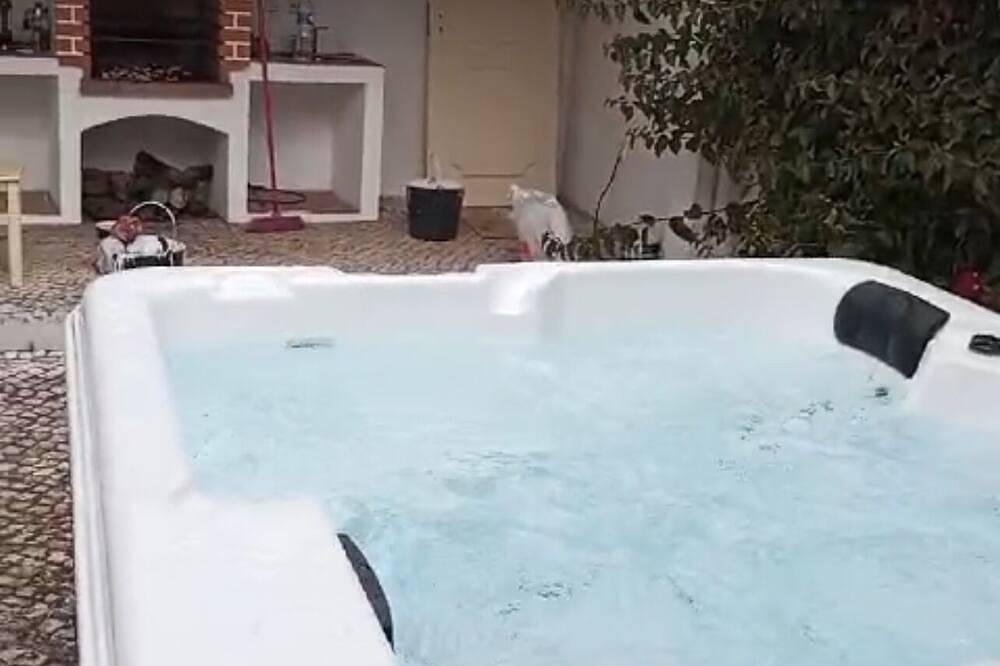 Alojamento Local Coruche in Coruche, Fajarda e Erra, Santarém distrikt