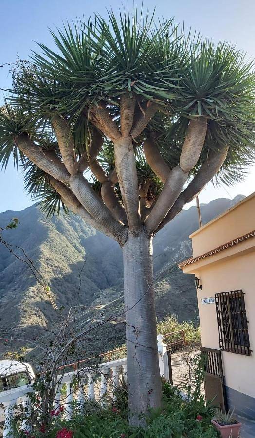 Casa Noni, Rural Escape in Taganana in La Cruz Vieja, Santa Cruz de Tenerife