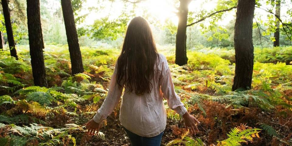 Gîte pour 4 personnes, avec vue ainsi que jardin et piscine, animaux acceptés à Albias - 3