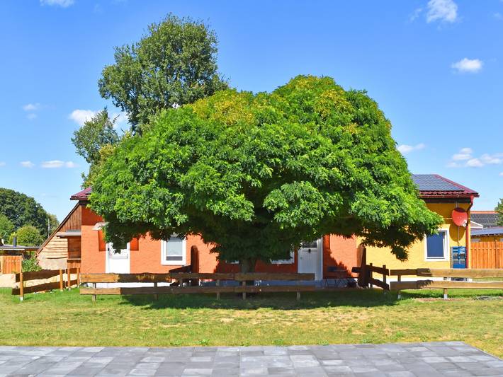 Ganze Wohnung, Gemütliche Ferienwohnung in der Oase am Vilzsee in Diemitz, Mirow