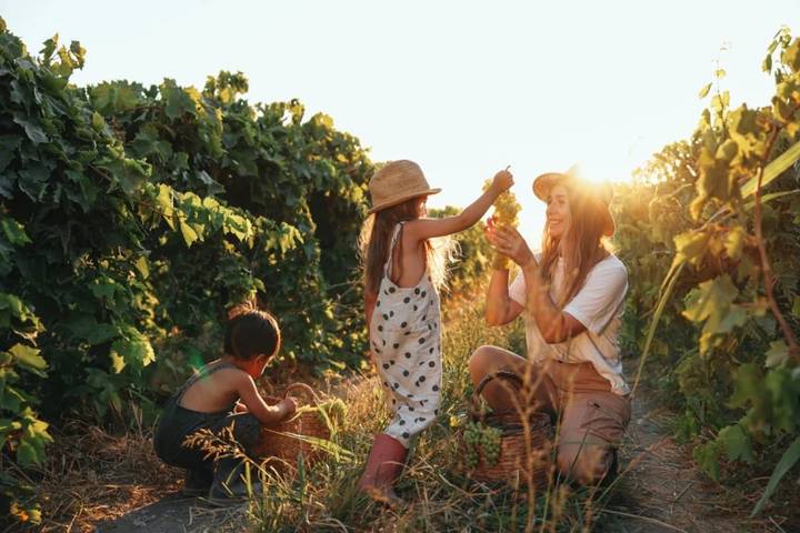 Camping pour 4 personnes, avec bassin pour enfant ainsi que terrasse et piscine dans l' Hérault - 4