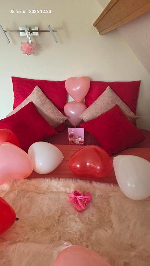 Gîte pour 4 personnes, avec vue et terrasse, animaux acceptés à Bennwihr - 4