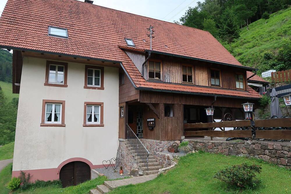 Wunderbares alleinstehendes Ferienhaus für 18 Leute mit W-Lan, Tv, Terrasse und Haustiere erlaubt in Simonswald, Südschwarzwald