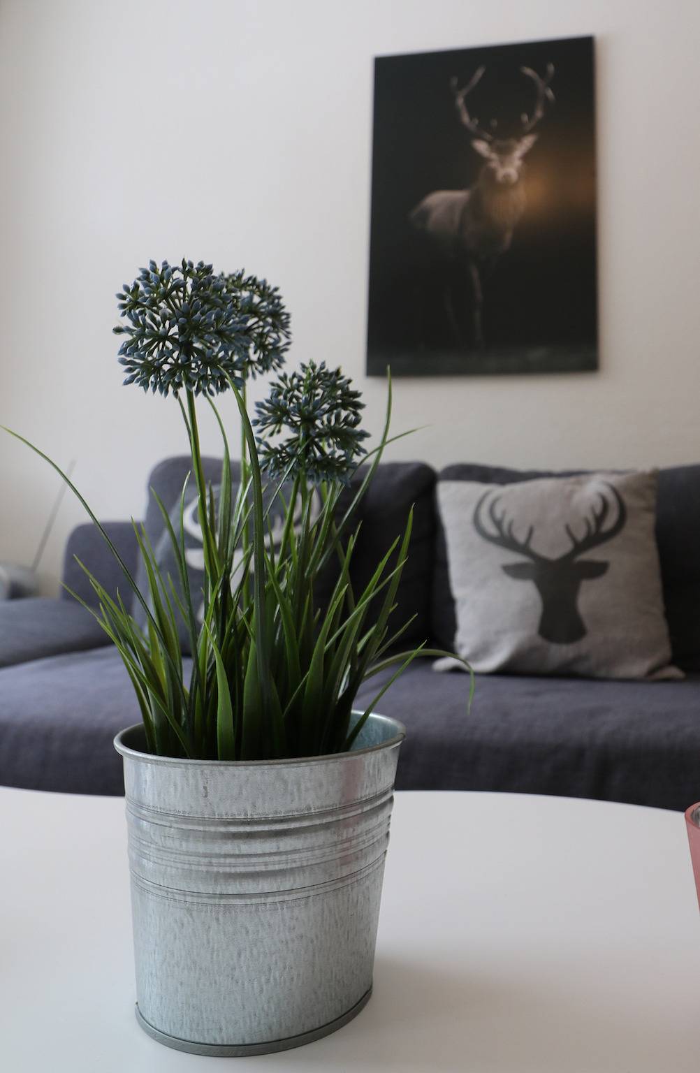 Ganze Ferienwohnung, Kurhotel Schluchsee App. 1511 - Schwarzwaldhirsch - mit Innenpool und Sauna, Schluchsee in Suedlicher Schwarzwald, Schluchsee