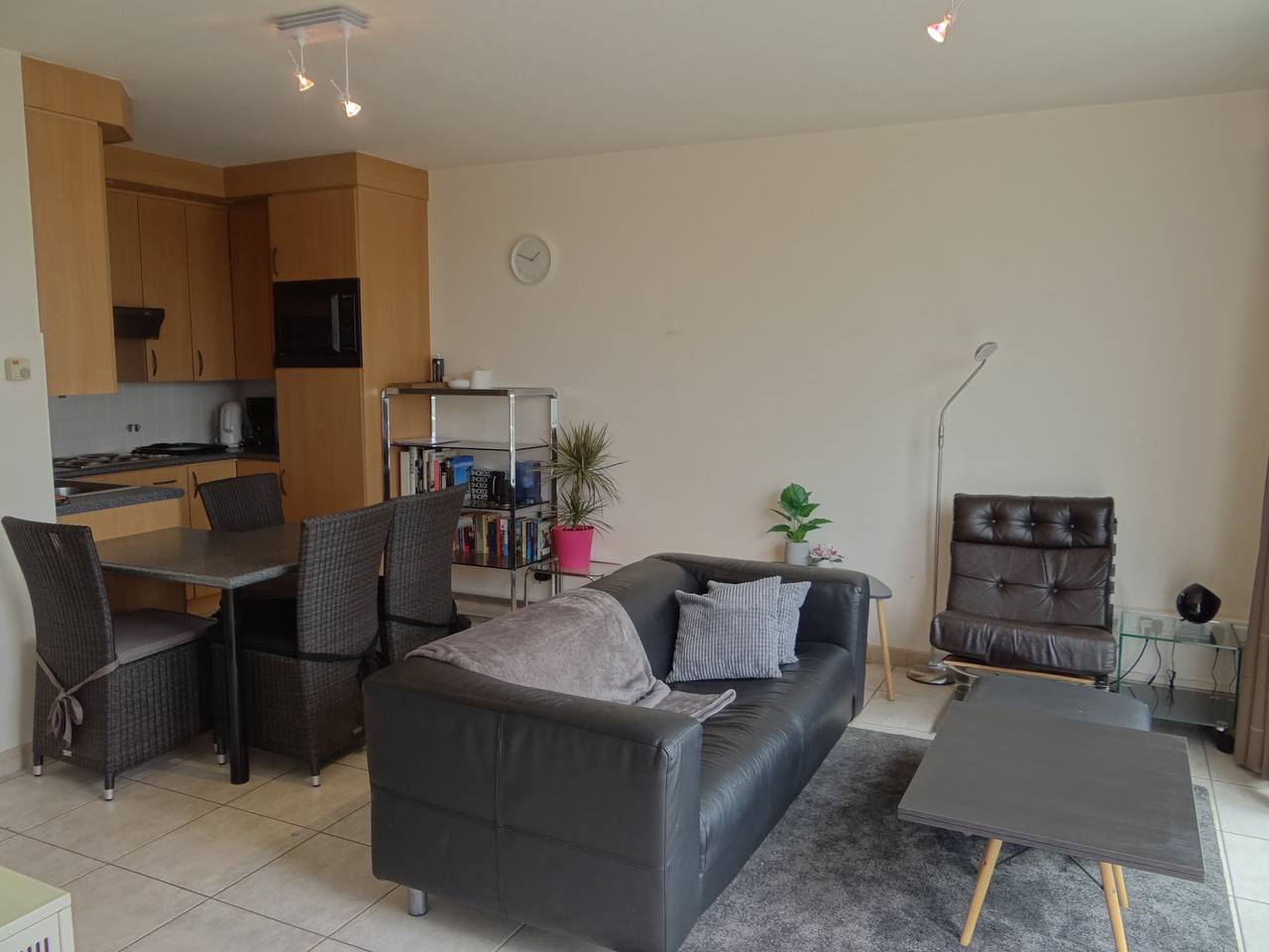 Ganze Wohnung, Sonnendurchflutete Wohnung in Strandnähe in Nieuwpoort, Belgische Küste