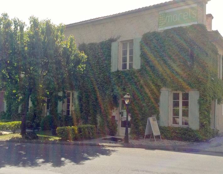 Hôtel pour 2 personnes, avec jardin et sauna ainsi que piscine et jacuzzi, animaux acceptés à Aubeterre-sur-Dronne - 3