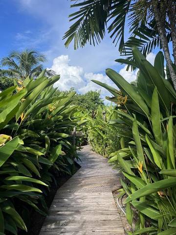 Lodge pour 2 personnes, avec terrasse et jacuzzi ainsi que sauna et piscine en Martinique