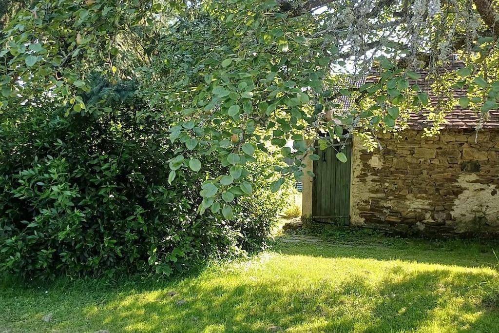 3 Aux Dames Vertes in Cuzion, Région de La Châtre