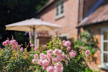 Cottage for 6 People in Sopley, New Forest National Park, Photo 1