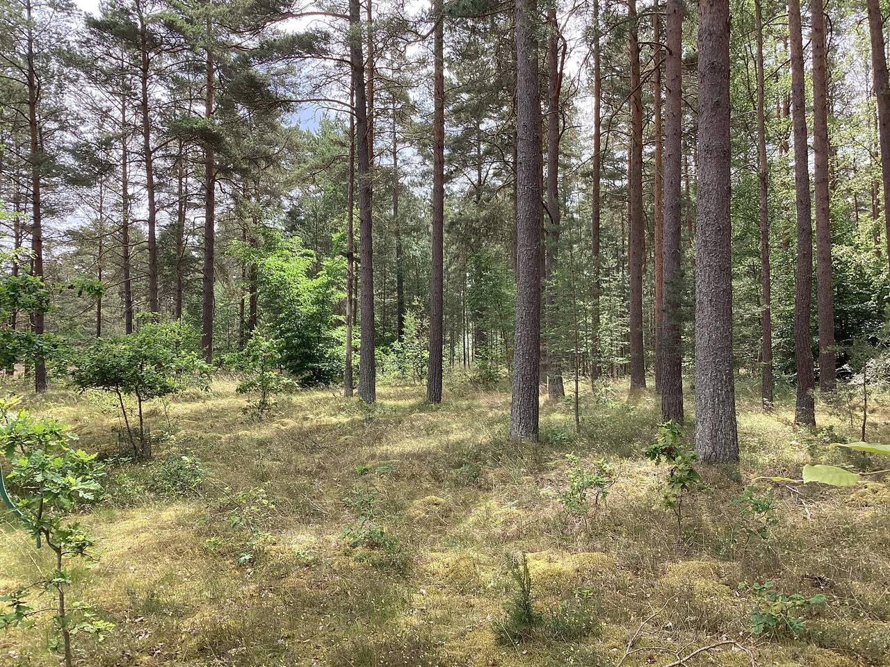 4 personer fritidhus i Degeberga in Kristianstad, Svenska Östersjön