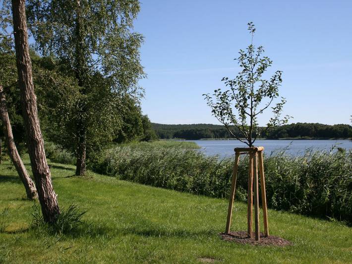 Ferienwohnung für 4 Personen, mit Balkon und Garten in Kölpinsee - 2