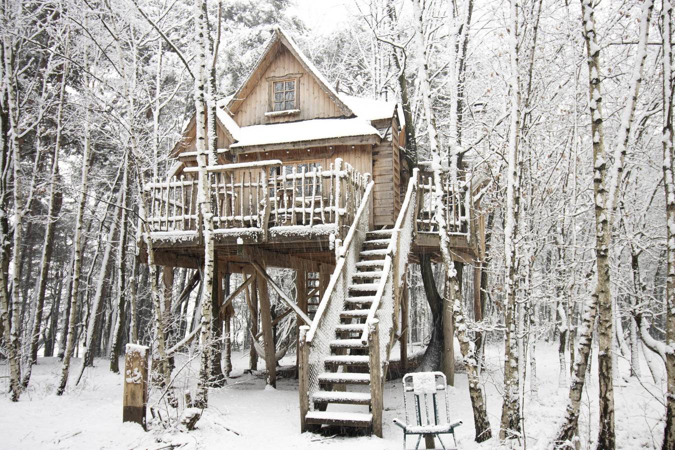 Recreatiedomein Warredal — Tree House 2 met hottub in Maaseik, Hoge Kempen