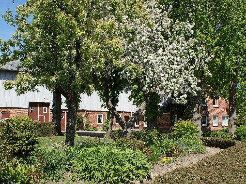 Ferienhof Schulz - Frische Landluft in Brodersby, Rendsburg-Eckernförde