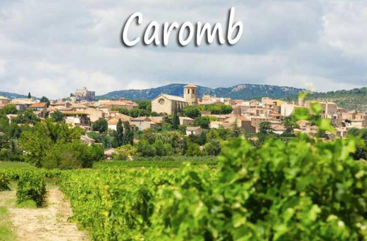 Location de vacances pour 6 personnes, avec vue ainsi que piscine et terrasse, animaux acceptés à Caromb - 4