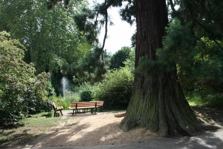 Hotel für 4 Personen, mit Terrasse und Garten sowie Sauna und Ausblick in Bad Godesberg - 2