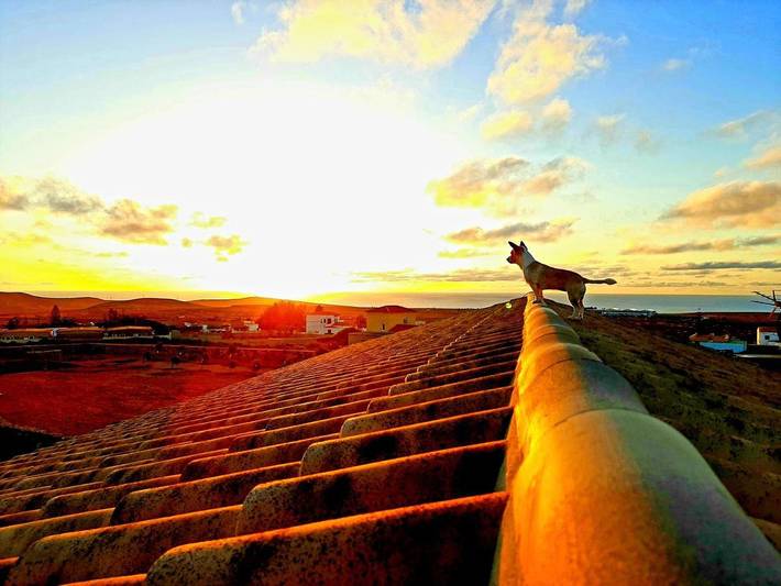 Apartamento de vacaciones para 3 personas, con jardín y vistas en Fuerteventura