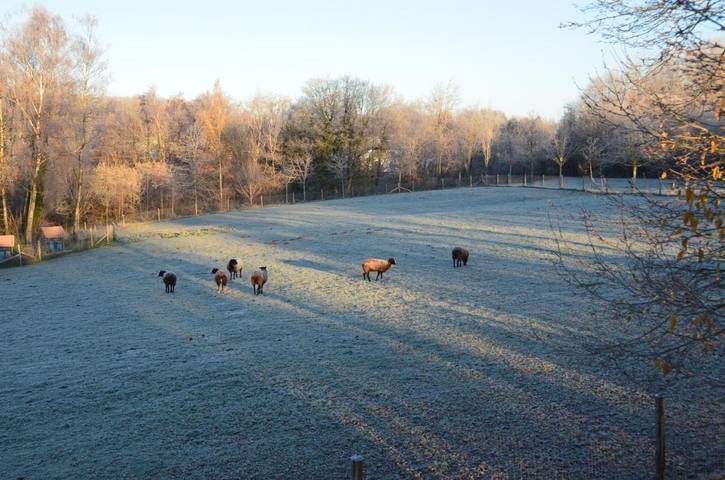 Gîte pour 3 personnes, avec vue et jardin à Gesves - 4