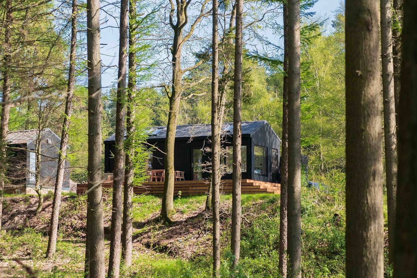 Wb Resort Gmbh — Koya Tiny Cabin met Buitenbad | 4 pers. in Wilsum, Landkreis Grafschaft Bentheim